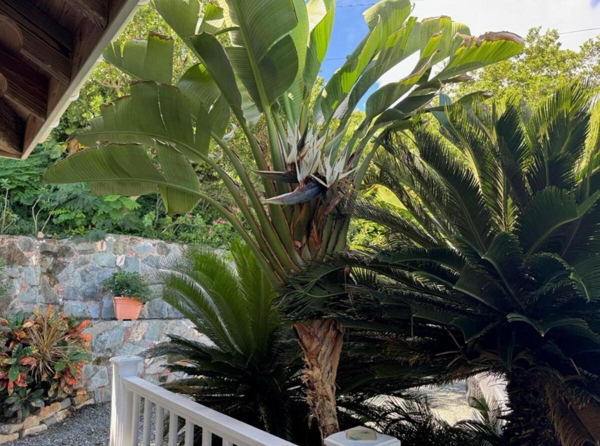 Blue Pearl Villa In St John Usvi Coral Bay Bagian luar foto